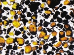 Special Collection: Pallasite Meteorites