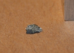 NWA 3160 - Lunar - .008 grams