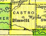 Castro County