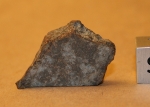 Gold Basin - 2.8 grams