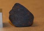 Taza (NWA 859) - 2.8 grams