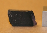 Kaffir (c) - 1.4 grams