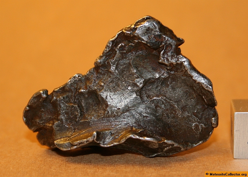 Sikhote-Alin - 33.5 grams