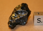 Sikhote-Alin - 16.64 grams