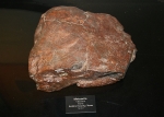 UT Collection - Large Tulia Stone