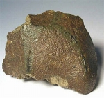 NWA 4483 - One of the twelve original stones