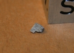 NWA 4483 - Lunar - .014 grams