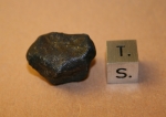 "Arnold Stone" - 9.2 grams
