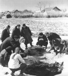Jilin meteorite examined in the field