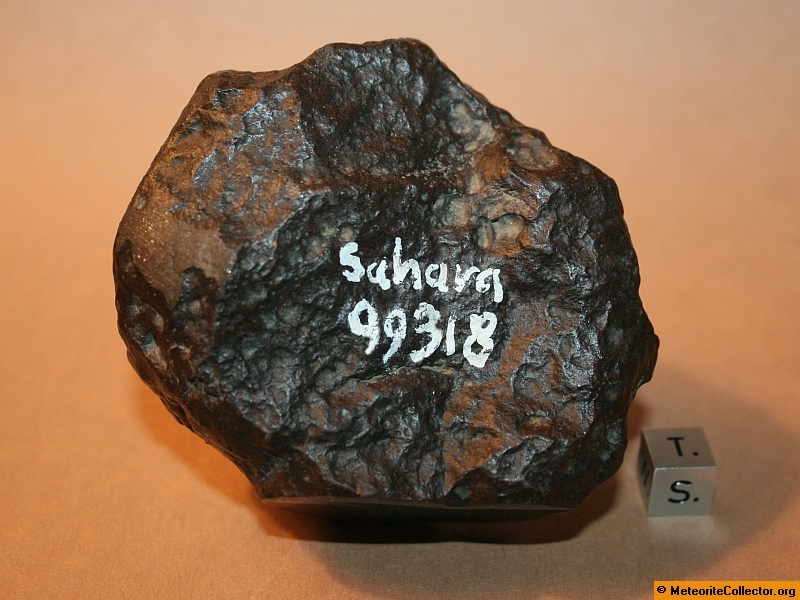 Sahara 99318 - 396.5 grams