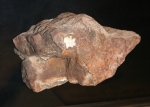 UT Collection - Large Ozona Stone